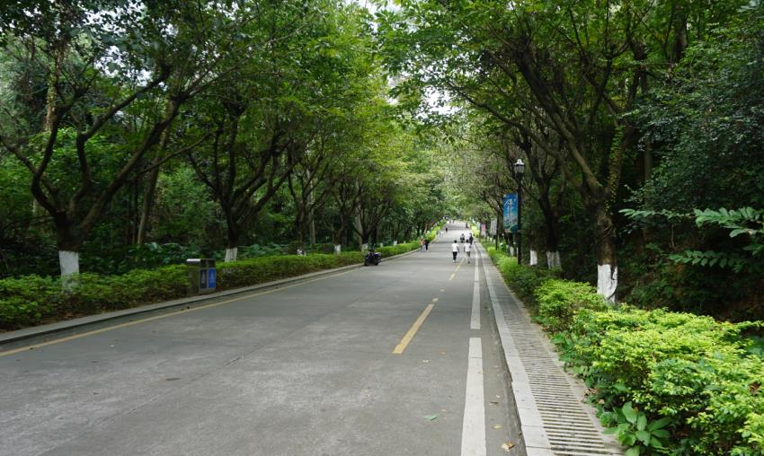 PTI十月活动-重阳登高莲花山(images 3)